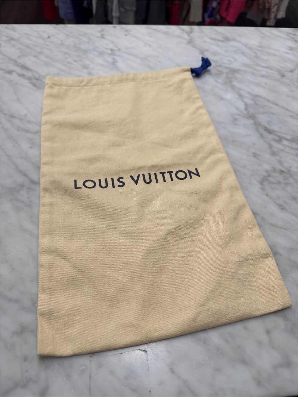 Louis Vuitton Single Sleeper/Storage Bag
